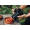 Nikon Z DX 16-50mm f/2.8 VR Lens - view 8